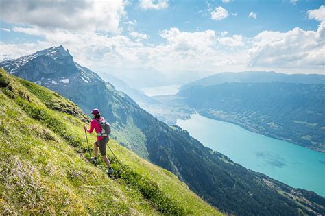 Switzerland Alps Matterhorn Swiss Alps Zermatt Switzerland