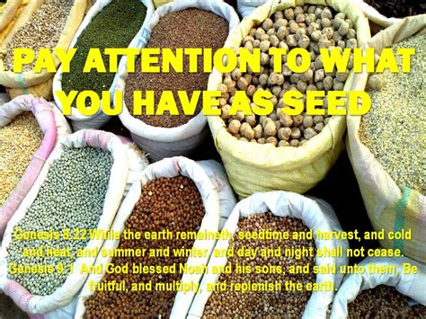 Pay Attention To What You Have As Seed John Rasicci