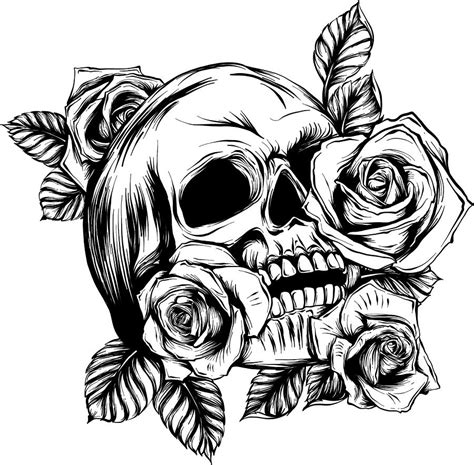 A Human Skulls With Roses On White Background Digital Art By Dean