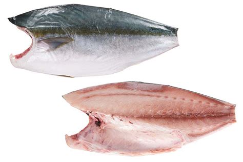 Hamachi Fillet Fish Fillets Frozen Products Kagerer And Co Gmbh