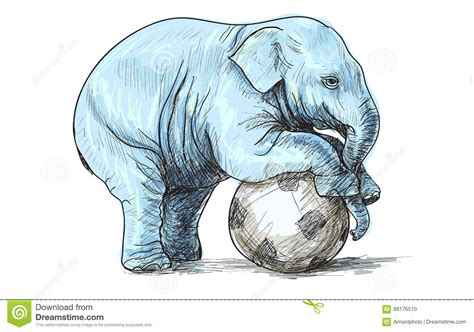 Baby Elephant Playing Football Sketch And Free Hand Draw Stock Vector