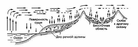 Диета баланс воды