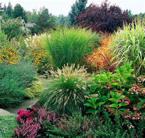 How To Use Ornamental Grasses In Midwest Gardens Garden And Yard