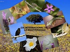 Lema del Día de la Biodiversidad o Diversidad Biológica 2016 + imágenes ...