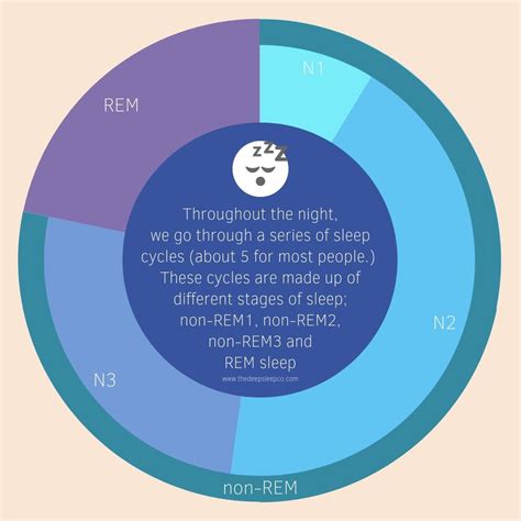 A Simple Guide To Sleep Cycles Sleep Cycle Stages Of Sleep Rem