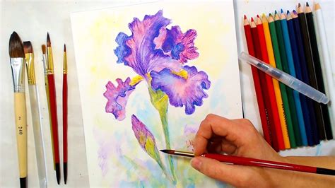 Colored Pencil Drawing Tutorial Easy Iris Watercolor Pencil Drawing