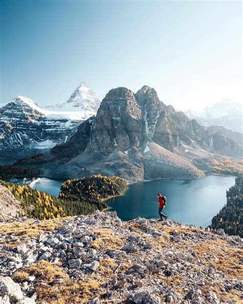 Earth Pics 🌎 On Twitter Fall In Mount Assiniboine Canada