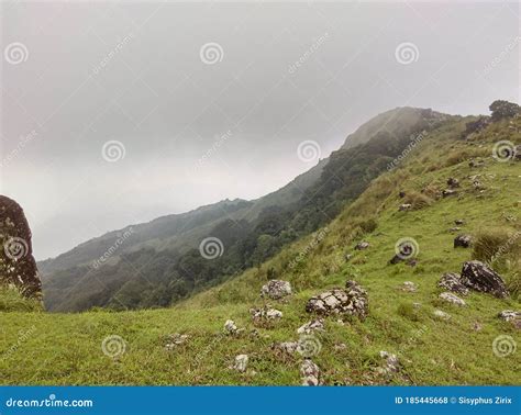 Mountain Slope And Green Meadows In Kerala Stock Photo Image Of