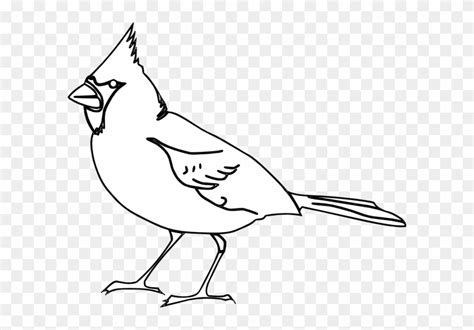 Cardinal Clipart Black And White Clip Art Cardinal Transparent Png