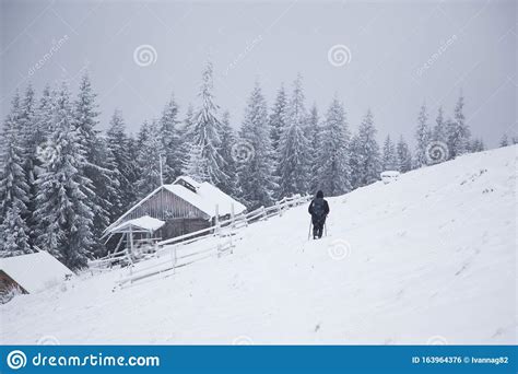 Beautiful Winter Mountain Landscape Cabin In The Mountains In Winter Winter Landscape With