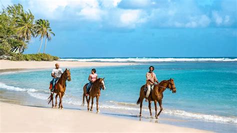 barbados guide for couples and why it s the ultimate romantic getaway mirror online