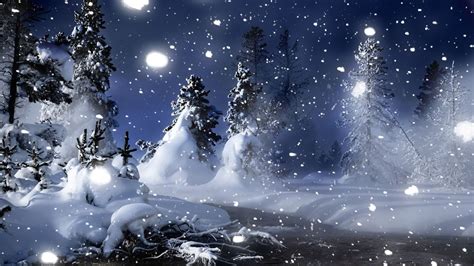3d Landscape Winter Night In Park Picture Nr 60710