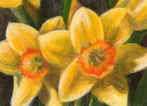 Debbie Shirley Art Spring Greeting Small Floral Painting Aceo Sold