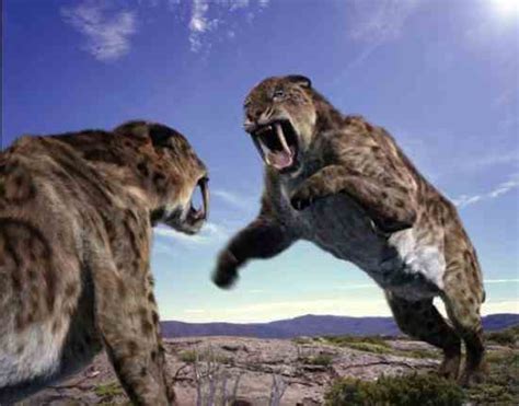 All The World Animals 10 Giant Prehistoric Cats