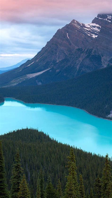 Lakes And Mountains Hd Wallpapers For Iphone 7 Peyto Lake Canada
