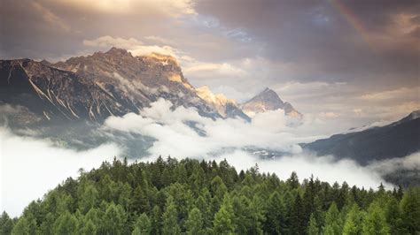 Wallpaper Cloud Sky Atmosphere Plant Tree Natural Landscape