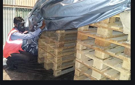 Pallet Fumigation Services Wooden Pallet Fumigation In India