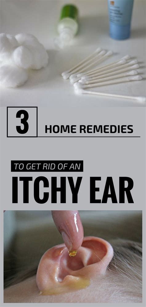 3 Home Remedies To Get Rid Of An Itchy Ear Ear Itching Remedy