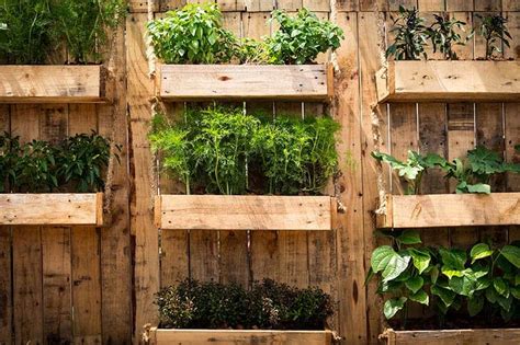 20 Incredible Vegetable Garden Ideas 2000 Daily