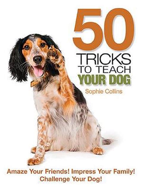 50 Tricks To Teach Your Dog By Sophie Collins English Paperback Book