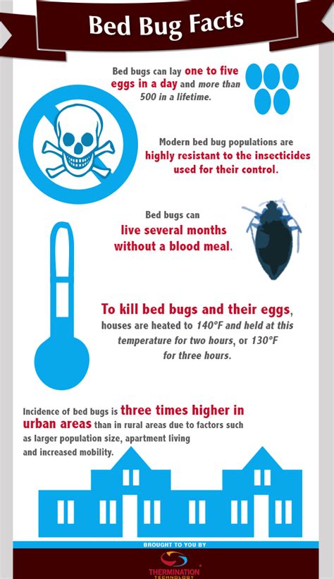 Bed Bug Facts Visually