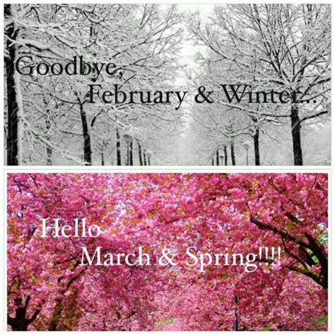 Goodbye February And Winter Hello March And Spring Pictures Photos And
