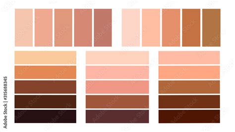 Set Color Palette For The Tone Of Human Skin Skin Tones From Light To