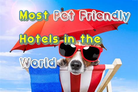 These Are The Worlds Most Pet Friendly Hotels