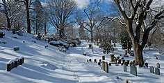 Discover Mount Auburn | Mount Auburn Cemetery