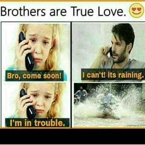 Brothers can be crazy and brother always tease their sisters. Pin by Firza naz on Brother and Sister are Best Friends | Sister quotes funny, Brother quotes ...