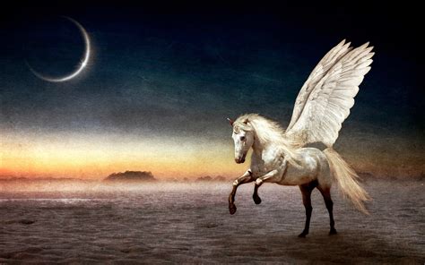 Fantasy Pegasus Horse Animal Art Artistic Artwork