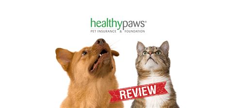 See why real customers love nationwide® pet insurance. Healthy Paws Reviews: #1 Pet Insurance? Vet & Customer Ratings