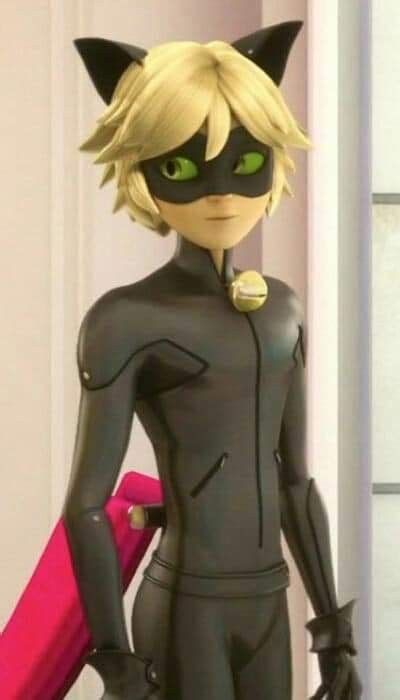 Pin By Milacheshire On Adrien Chat Noir Miraculous Ladybug Funny