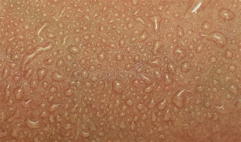 Human Skin And Sweat Stock Image Image Of Detail Shower 77230829