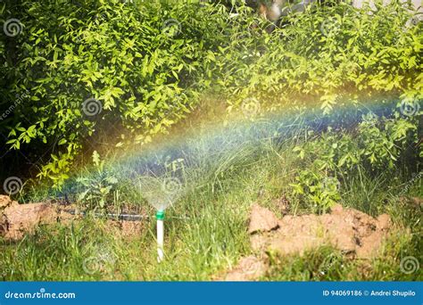 Rainbow From A Water Fountain In The Nature Stock Photo Image Of
