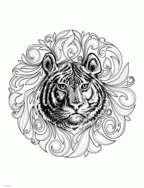 Animal Coloring Pages For Adults Realistic Tiger Coloring Pages