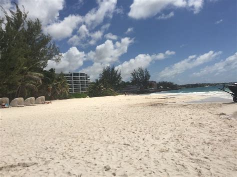 Sandals Barbados Reviews 2019 Updated All Inclusive