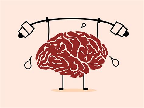 X Beter Leren Met Breinkennis Onderwijs Van Morgen