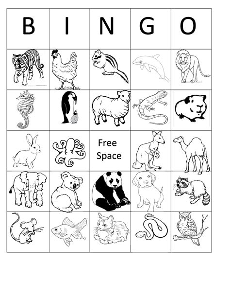 Printable Animal Bingo Card 4 Black And White Coloring Sheet Birthday