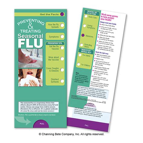 Preventing And Treating Seasonal Flu Slide Chart Channing Bete