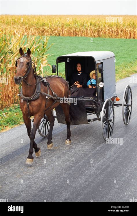 Amish Horse Drawn Buggy On A Rural Road Lancaster County Pennsylvania