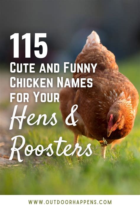 115 Cute And Funny Chicken Names In 2020 Funny Chicken Names Chicken