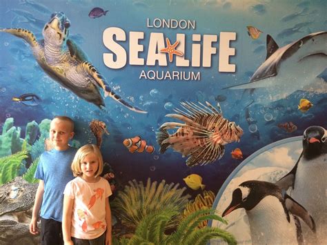 Summer Abroad With Kids London Sealife Aquarium Summer Abroad