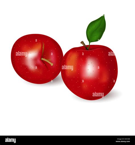 Realistic Red Apple Stock Vector Image And Art Alamy