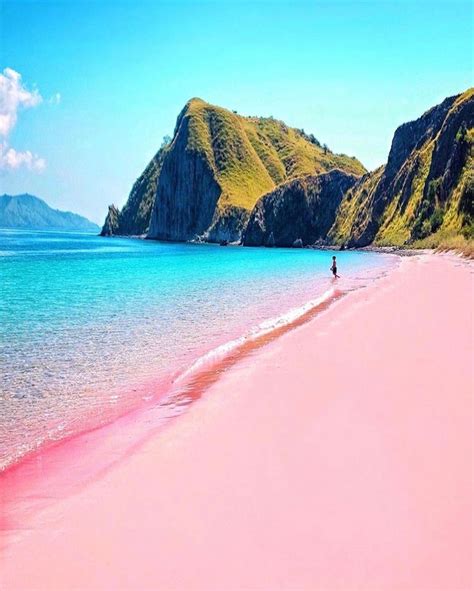 Pink Beaches In 2020 Cool Places To Visit Pink Beach Komodo Island