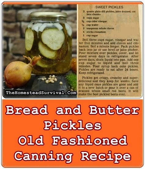 Bread And Butter Pickles Old Fashioned Canning Recipe The Homestead