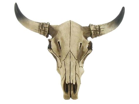 7 Best Images About Bull Mascot On Pinterest Bull Skulls Projects