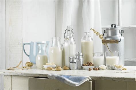 6 Best Non Dairy Milk Alternatives