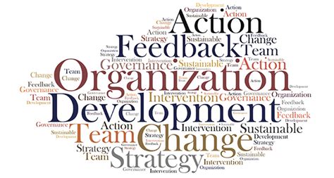 What Is Organizational Development Organizational Clarity