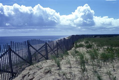Free Photograph Cape National Seashore Wellfleet Massachusetts